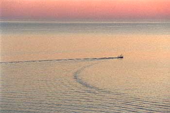 Belearen-Strand mit bester Wasserqualitt