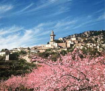 Ort Valldemossa