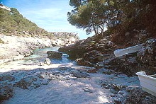 Cala SAmonia